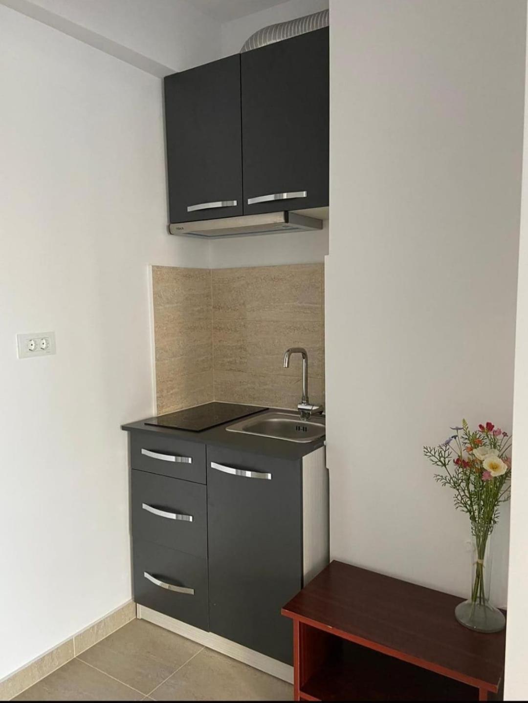 Apartment Promenada Old Town